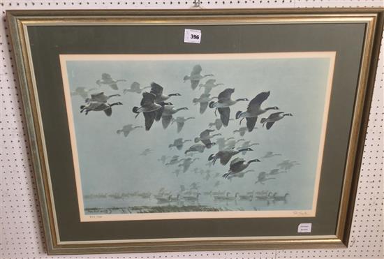 Sir Peter Scott, chromolithograph, Geese in flight